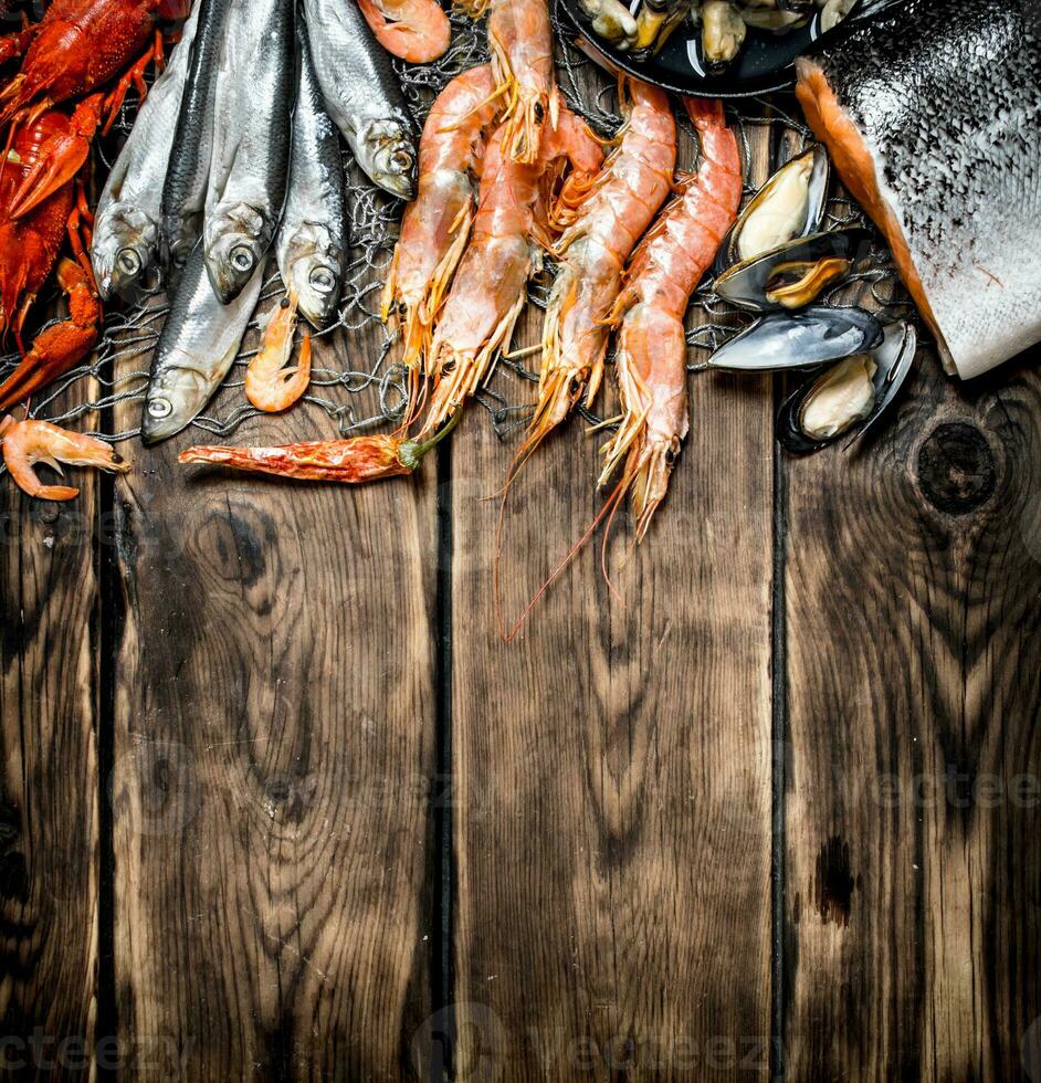 variety of seafood on a fishing net. photo