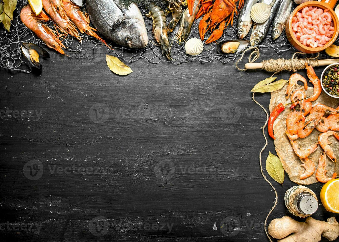 Fresh seafood. Sea food with spices and herbs. photo