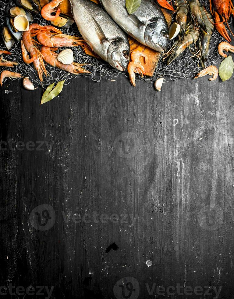 Different seafood with spices on a fishing net. photo