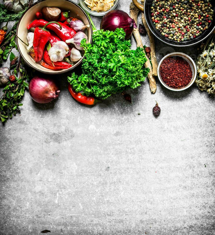 Big set of spices and herbs photo