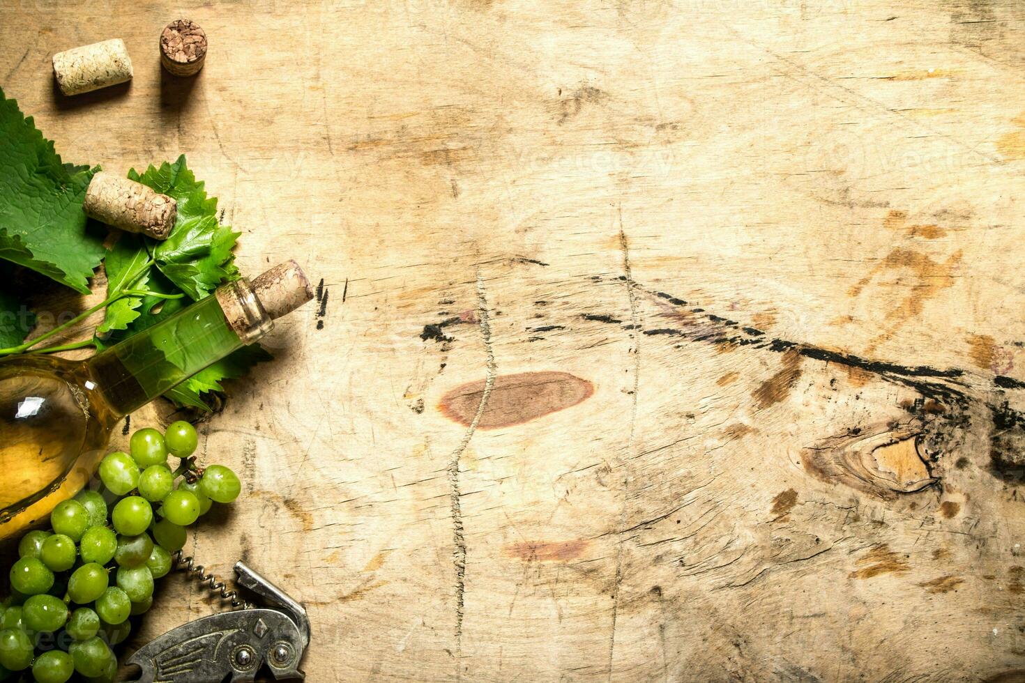 White wine with a vine . photo