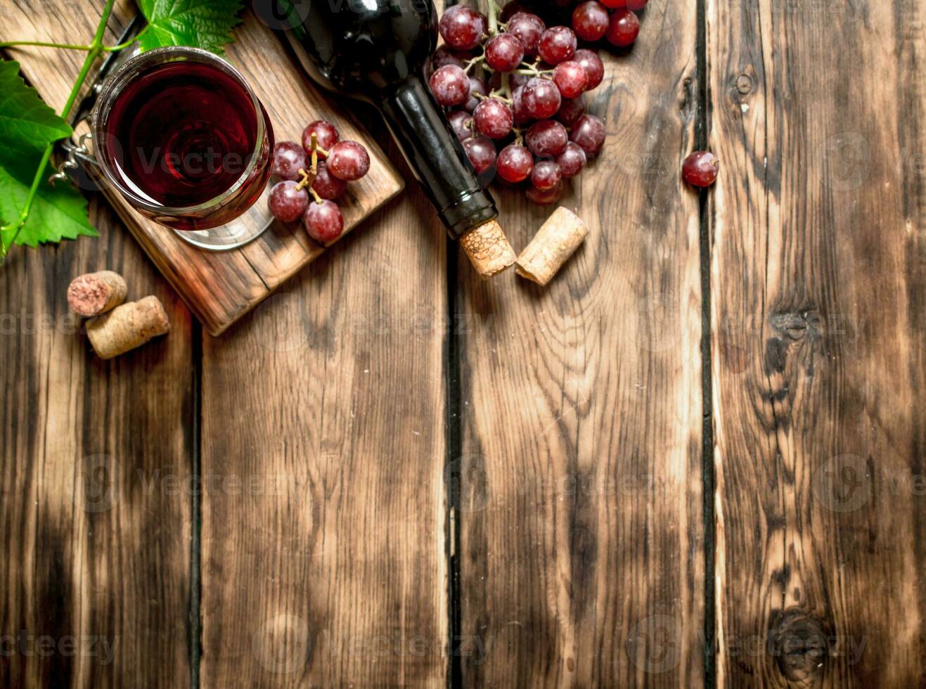Red wine with a vine branch. photo