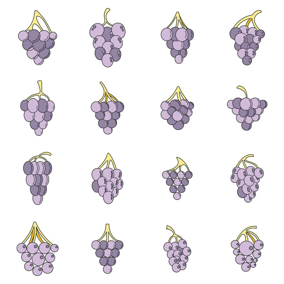 Grape wine bunch icons set vector color