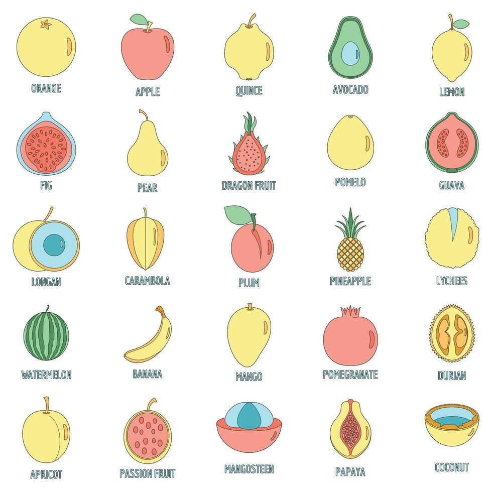 Fruits icons set vector color