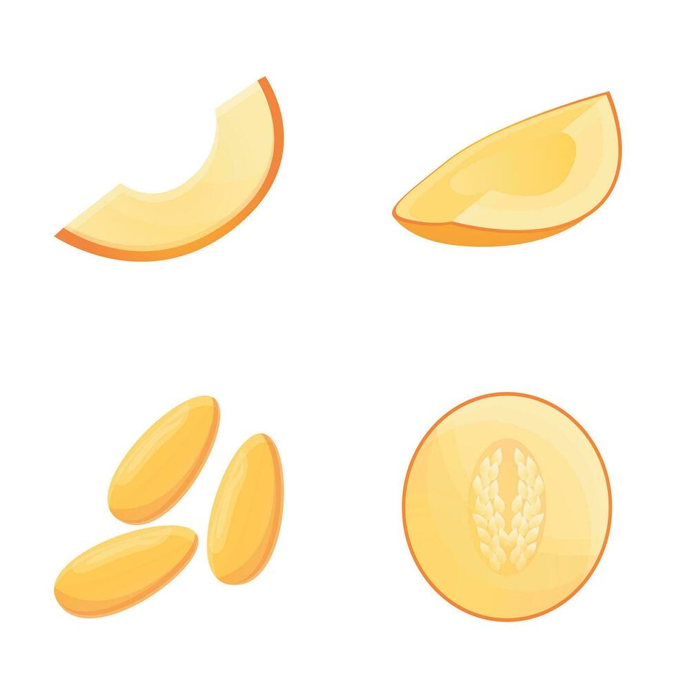 Melon icons set cartoon vector. Fresh ripe melon vector