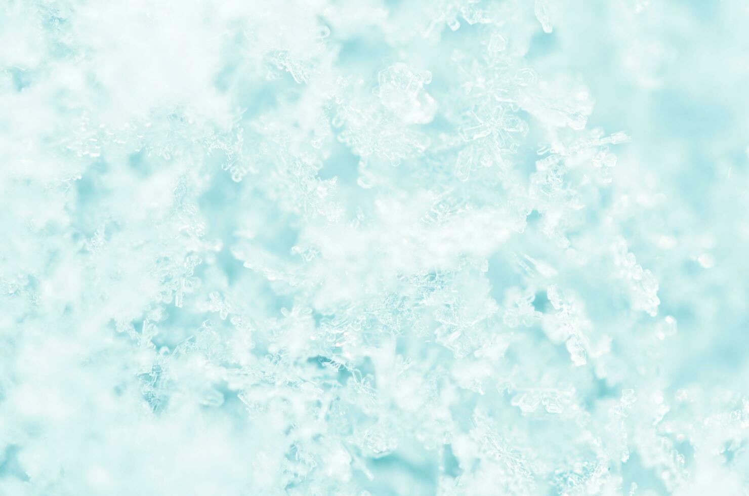 Snow texture for the background. Snow sparkle background photo