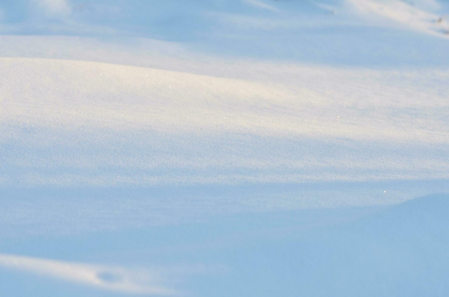 Snow texture for the background. Snow sparkle background photo