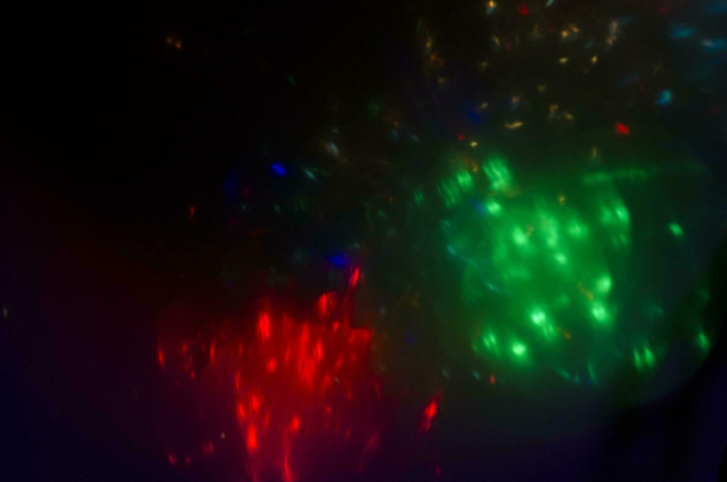 defocused light bokeh of christmas light tree,happy new year and Christmas holiday background photo