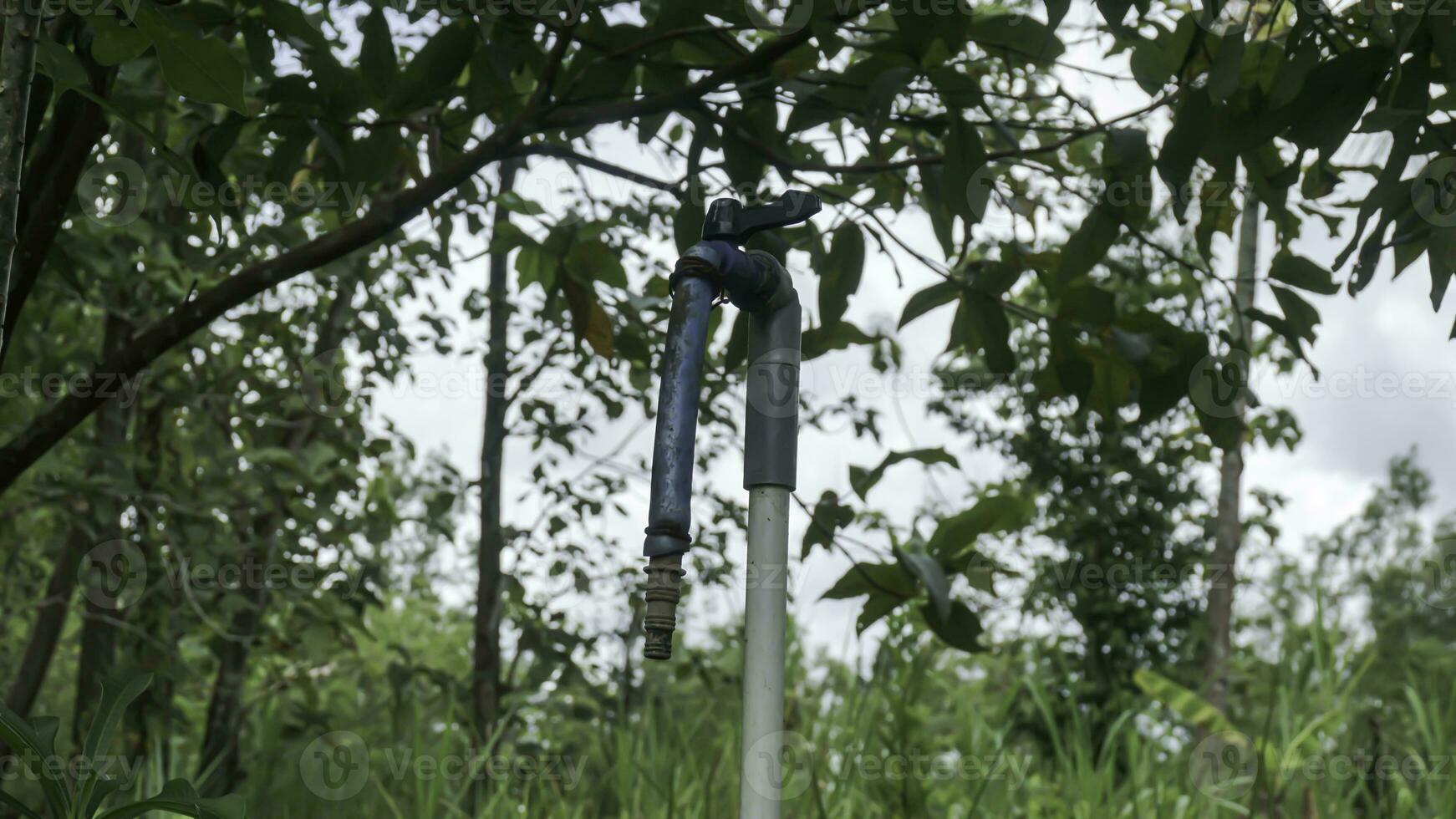 Water faucet in the garden with nature background, Indonesia. photo