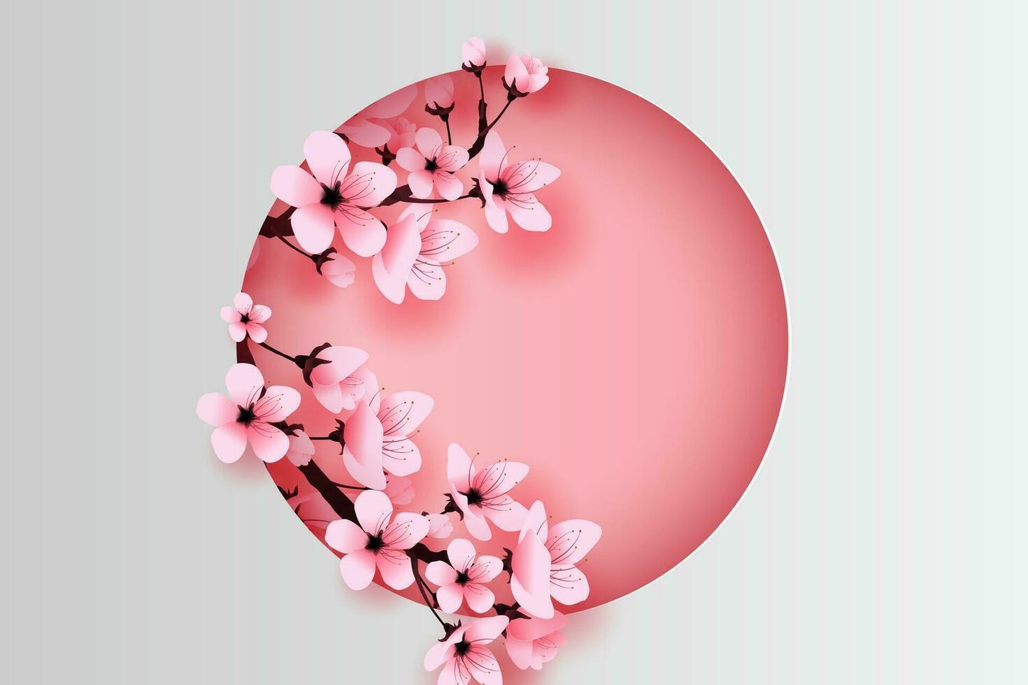 illustration of paper art and craft circle decorated spring season cherry blossom concept,Springtime with sakura branch, Design Floral Cherry blossom with pink flowers on text space background,vector. vector