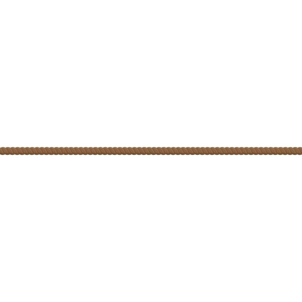 brown rope line divider vector