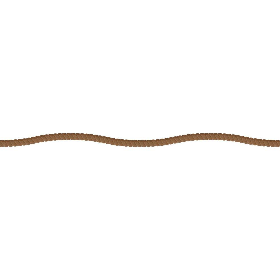 brown rope wavy line vector