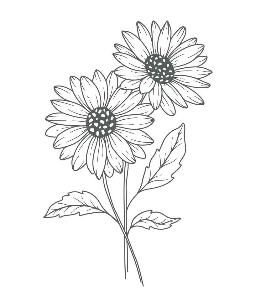 PrintDaisy Line Art. Daisy outline Illustration. April Birth Month Flower. Daisy flower outline isolated on white. Hand painted line art botanical illustration. vector