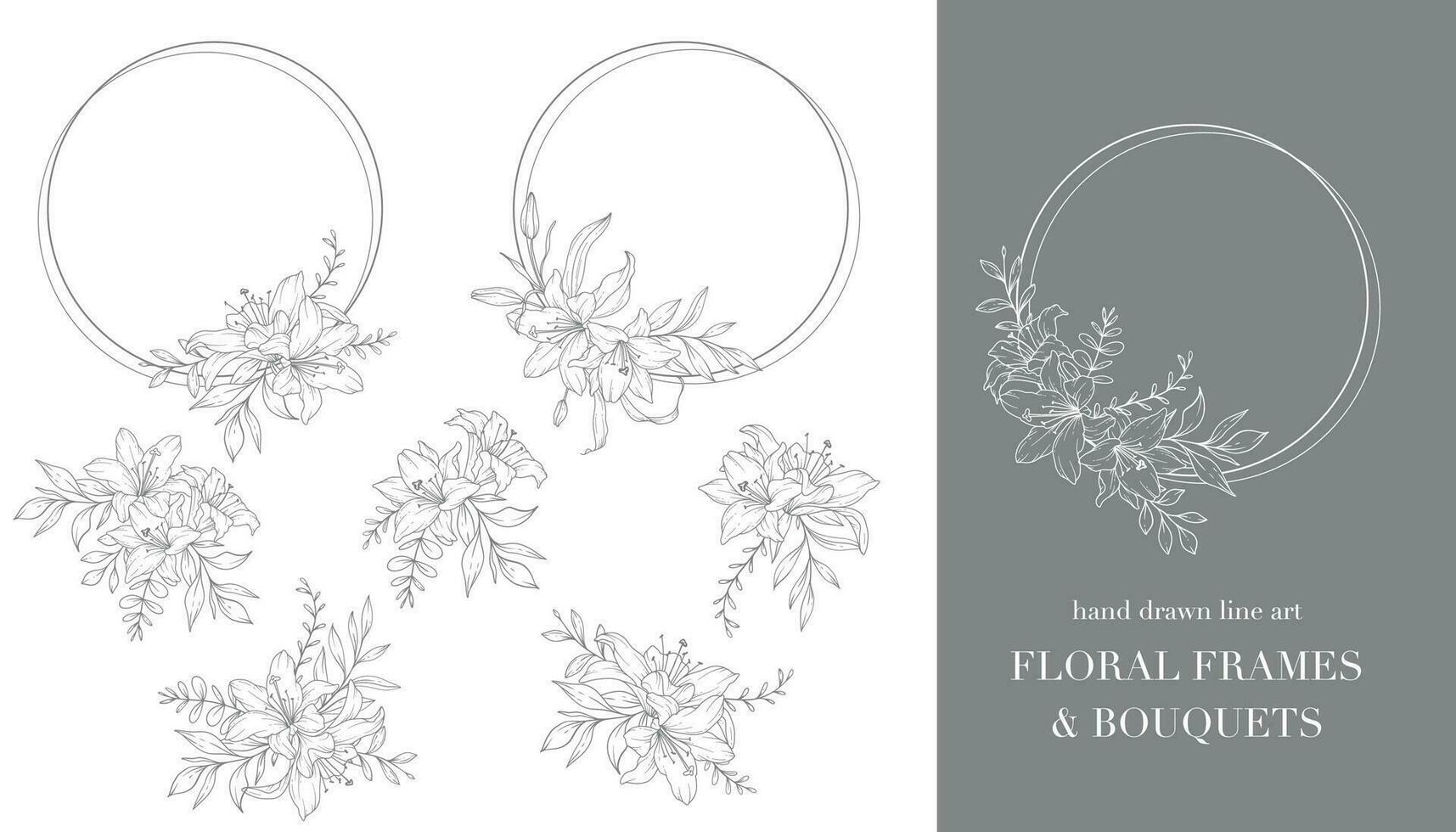 Lily Flower Line Art. Floral Frames and Bouquets Line Art. Fine Line Lilies Frames Hand Drawn Illustration. Outline Leaves and Flowers. Botanical Coloring Page. Outline Lily Isolated on White vector