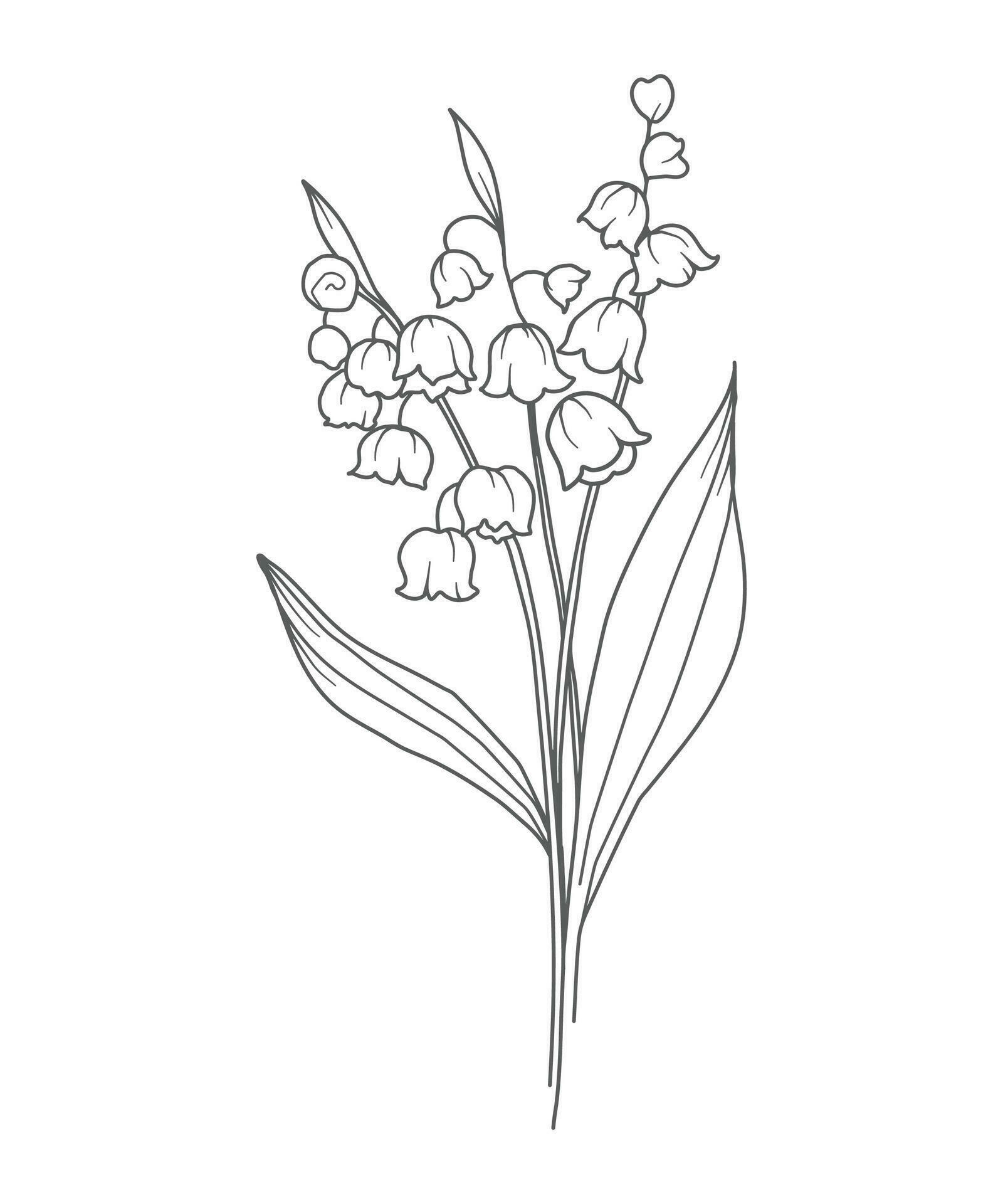 My Image 23
