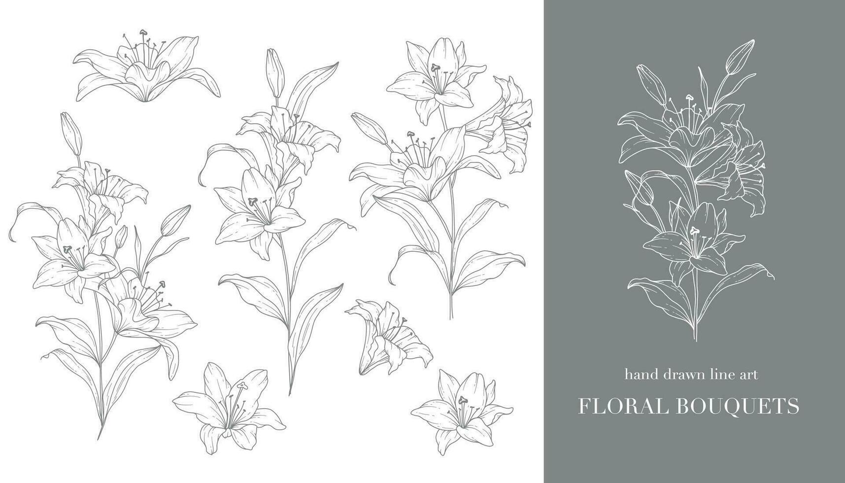 Lily Flower Line Art. Lilies Bouquets Line Art. Fine Line Lilies Arrangements Hand Drawn Illustration. Outline Leaves and Flowers. Botanical Coloring Page. Outline Lily Isolated on White vector
