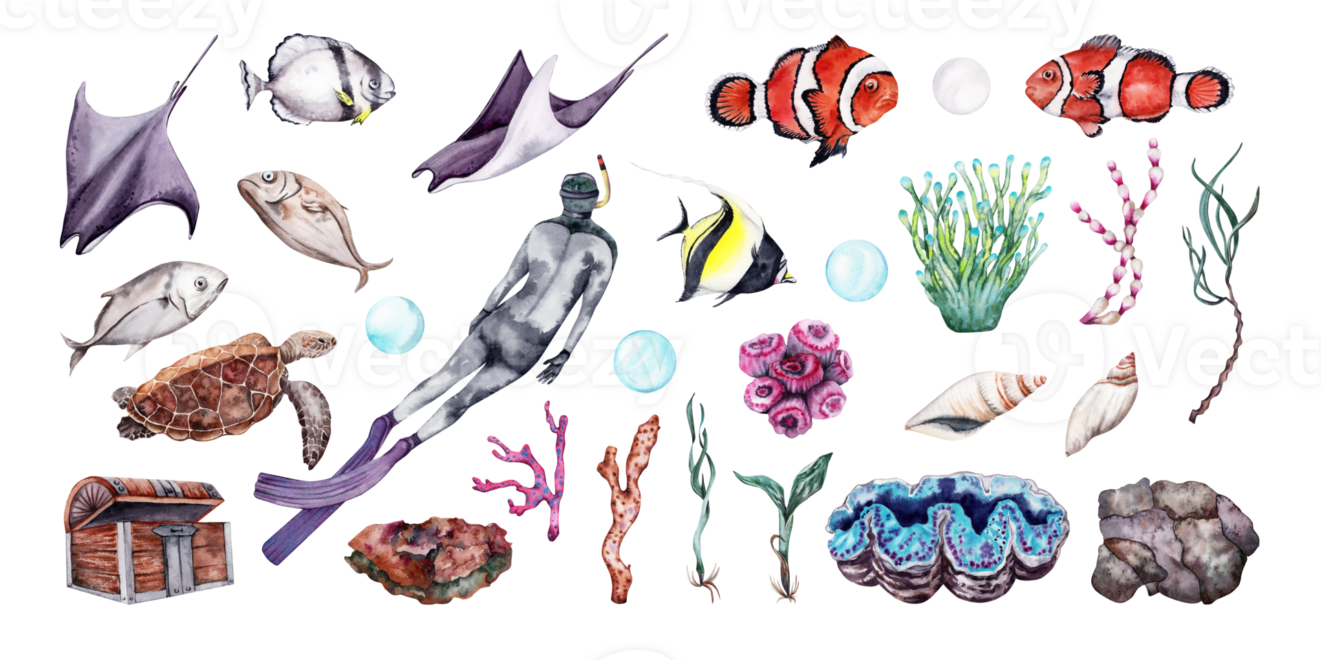 Watercolor set of coral reef underwater world with free diver, tropical fish, seaweed, pebbles, corals and shells. Hand drawn illustration perfect for tropical travel designs png