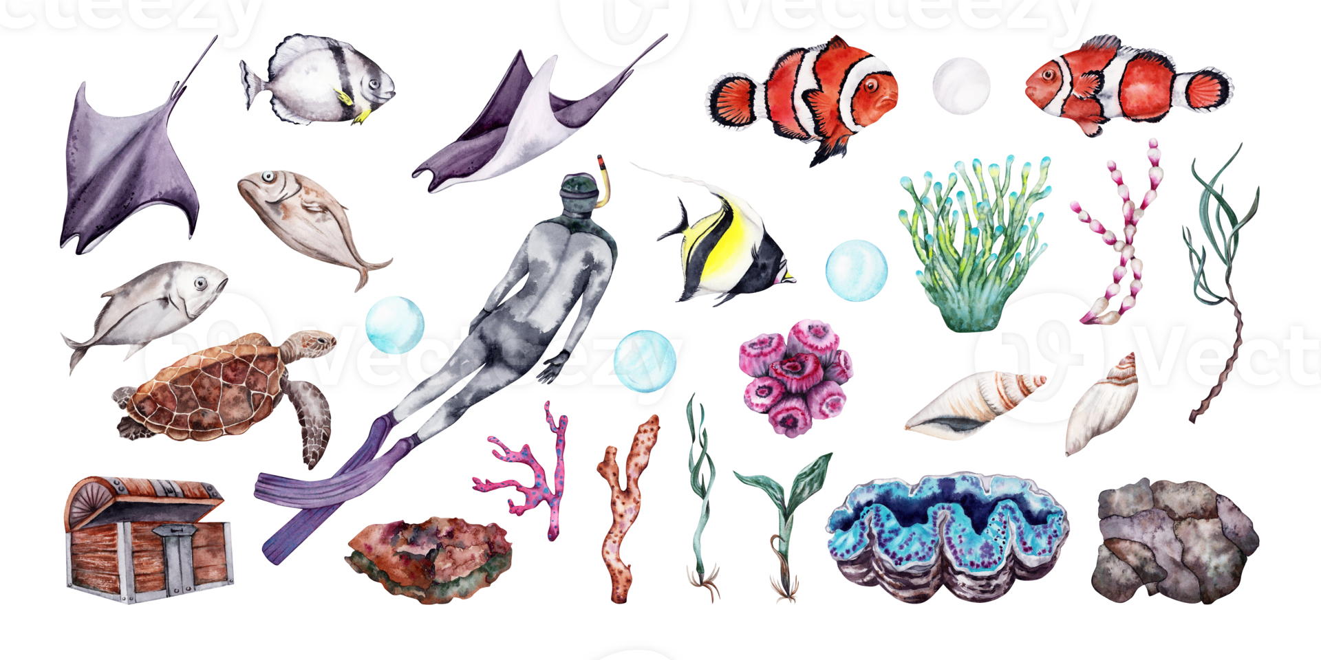 Watercolor set of coral reef underwater world with free diver, tropical fish, seaweed, pebbles, corals and shells. Hand drawn illustration perfect for tropical travel designs png