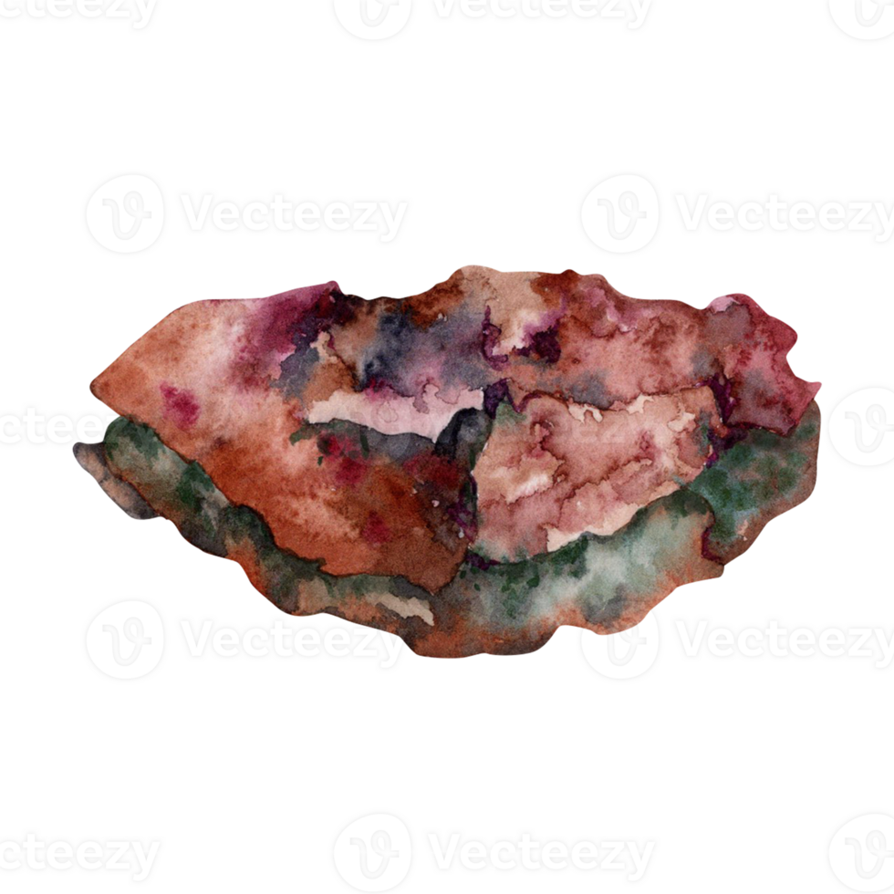 Hand drawn watercolor illustration of a coral sea rock. Tropical waters underwater collection isolated element. Textured beach pebble on transparent background. png