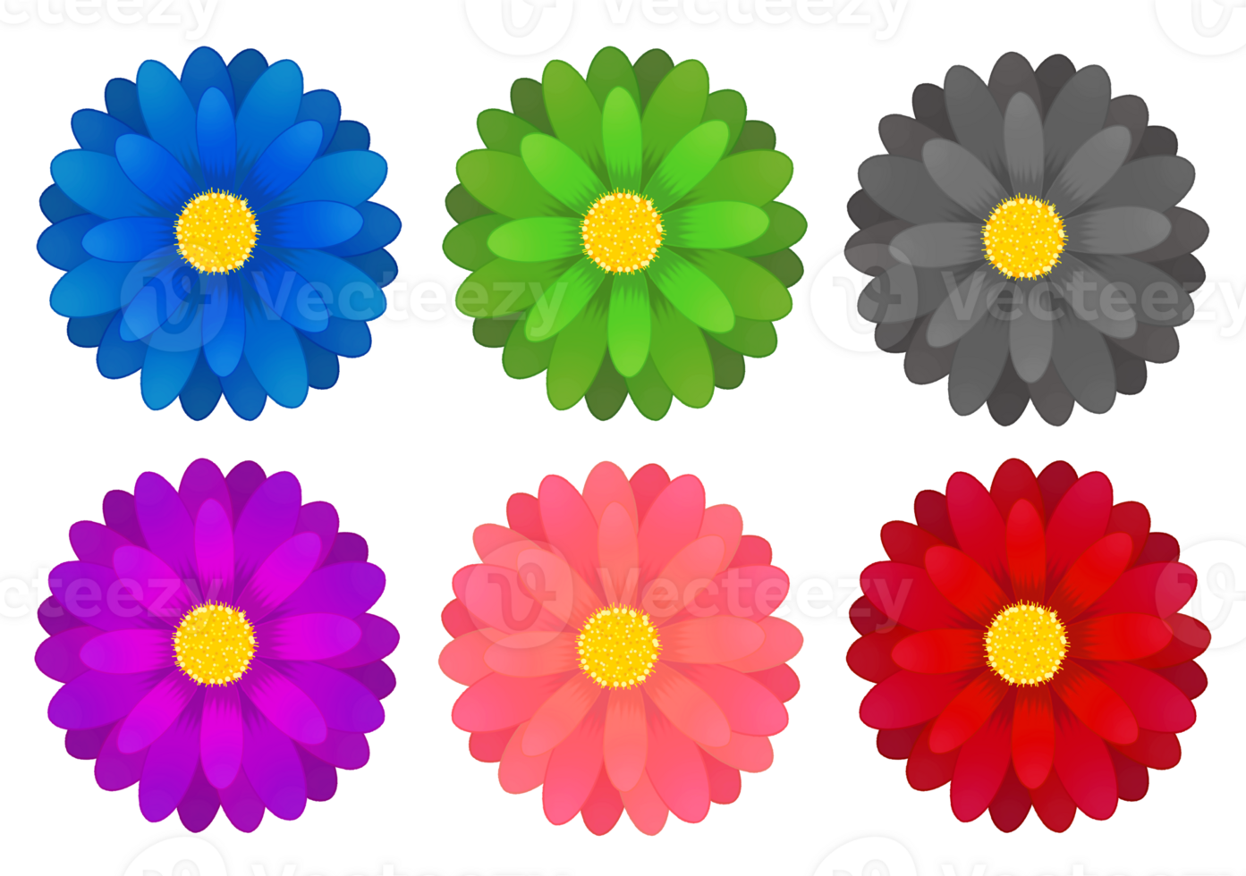 Flowers Floral Decorative png