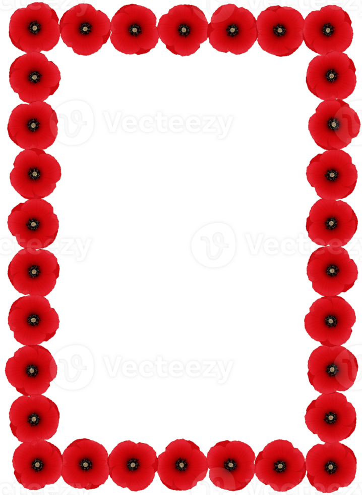 Poppy Frame Rectangle png