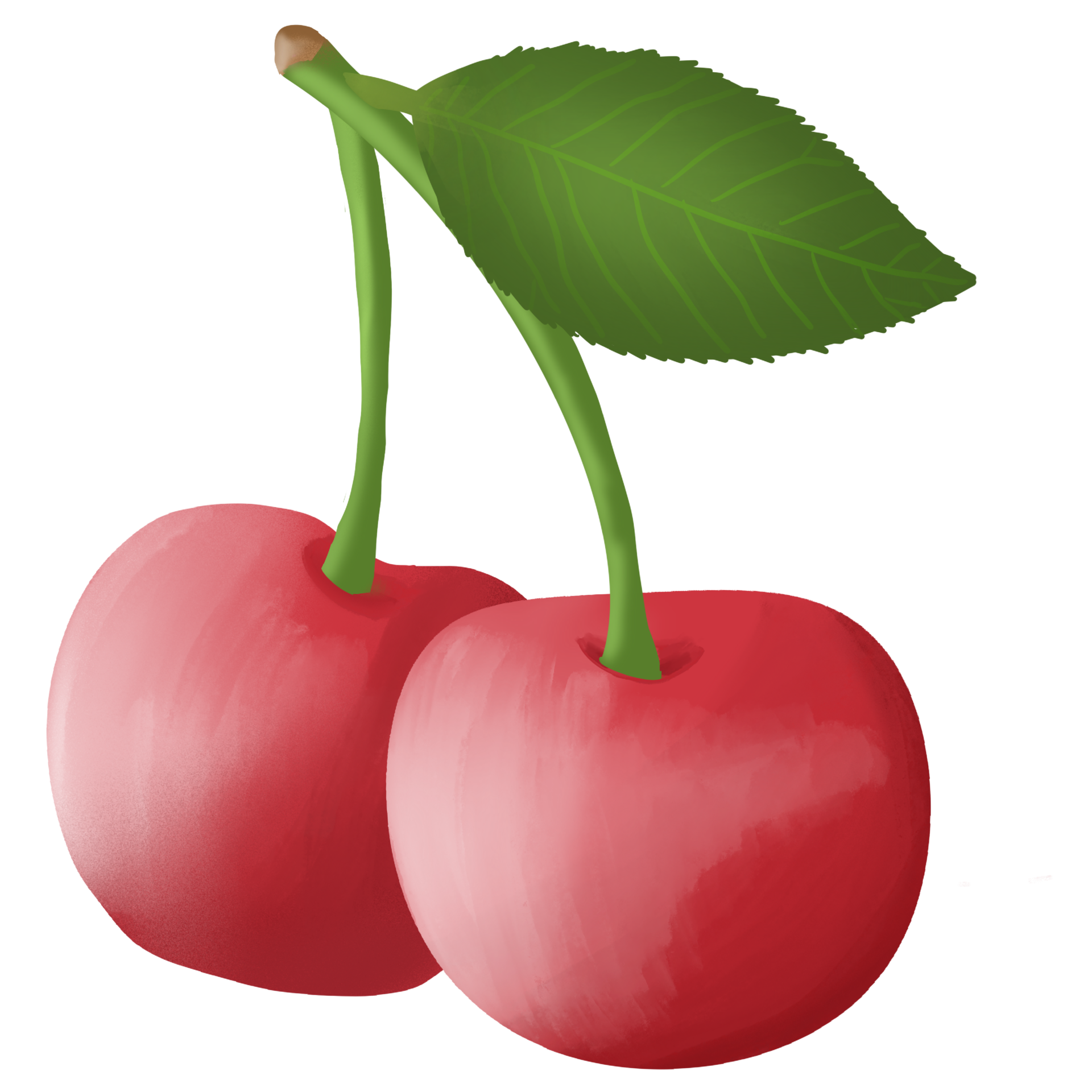 Red delicious cherry 32044372 PNG