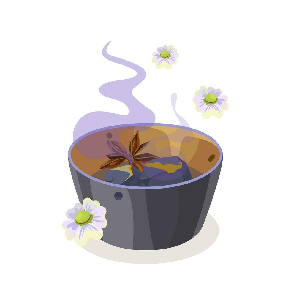 Illustration of aroma and spa accessories vector