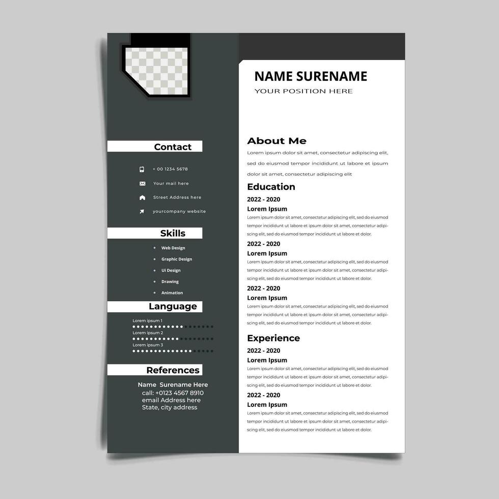 profesional currículum CV vector gráfico plantillas