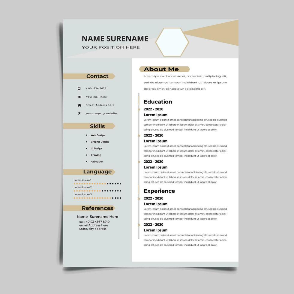 Professional Resume CV vector Graphic Templates