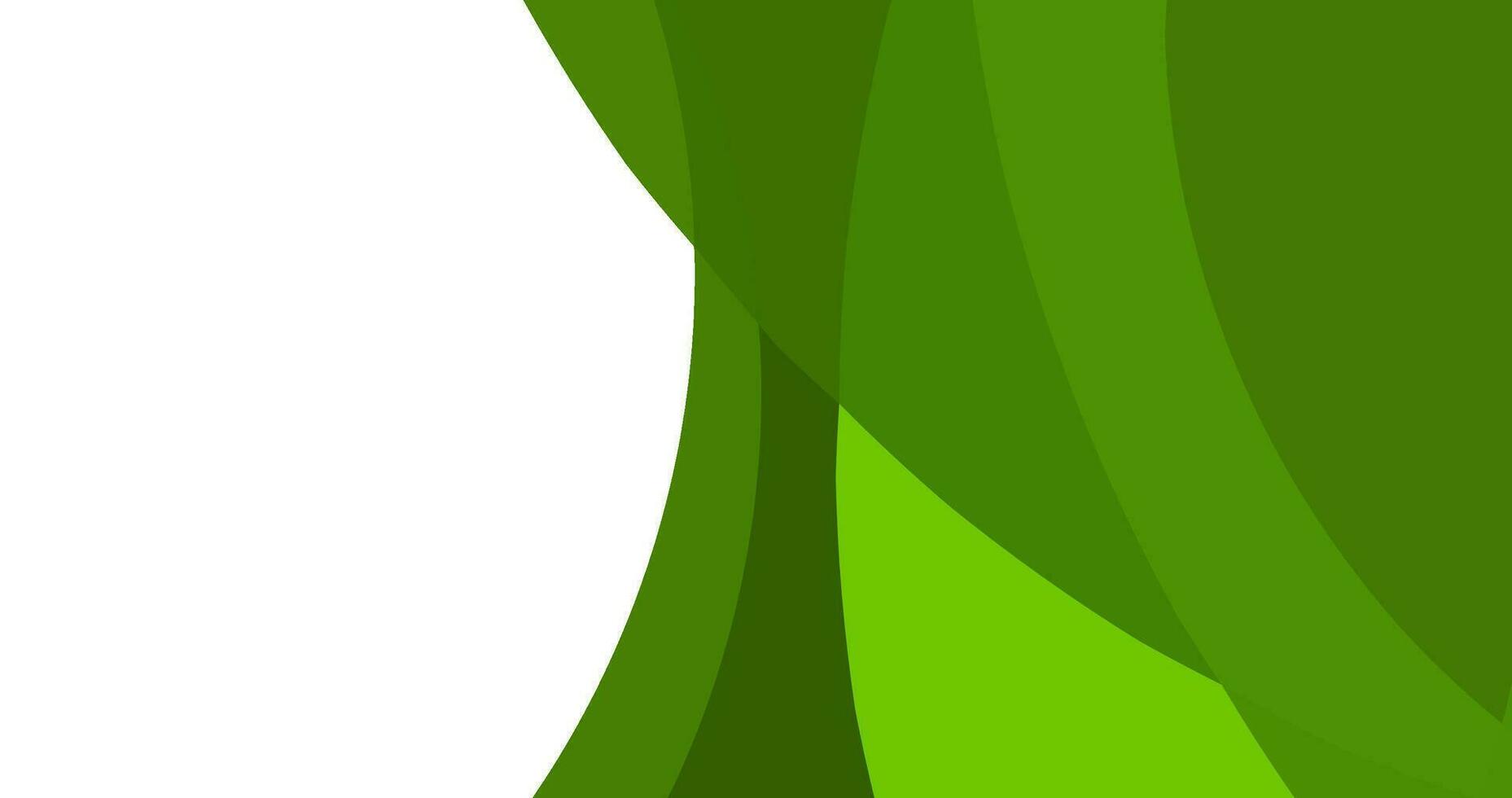 abstract green curve background for design template vector