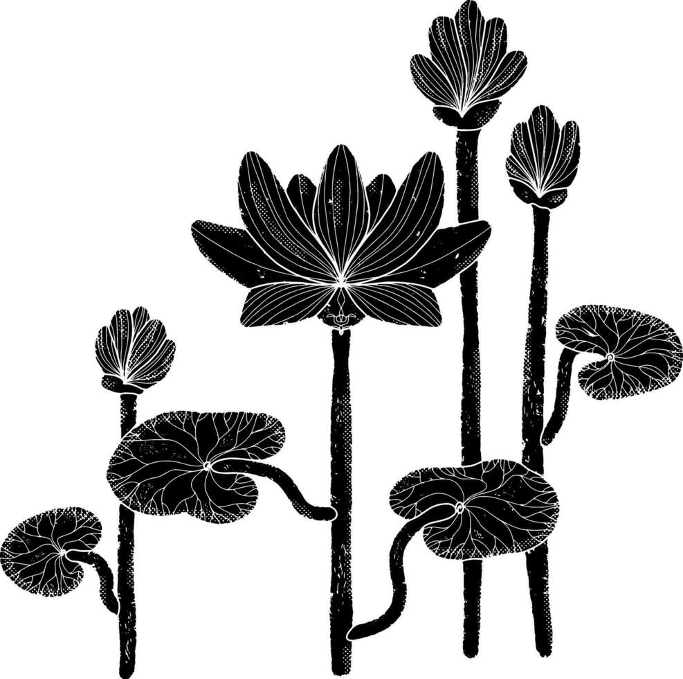 a black and white drawing of a lotus flower vector