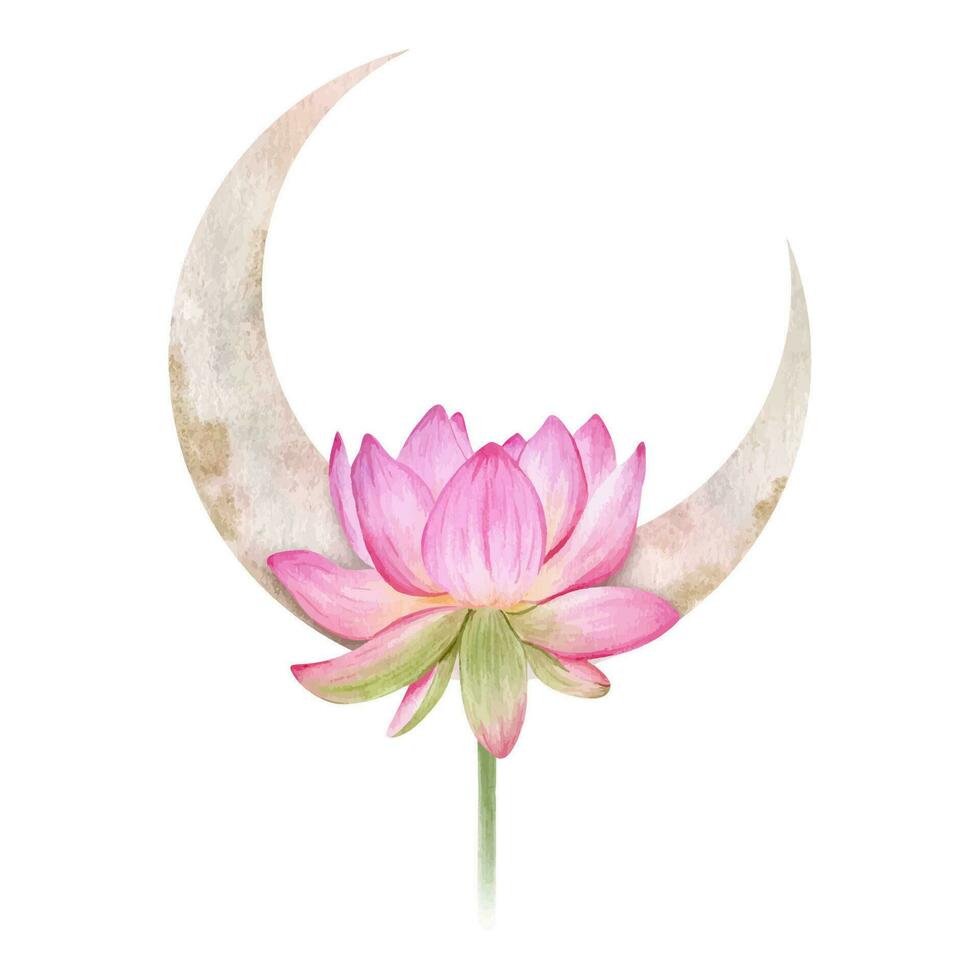 Pink lotus and pink moon. Floral crescent moon. Watercolor illustrations. Esoteric signs and symbols. Isolated. Minimalistic illustration for design, print, fabric or background. vector