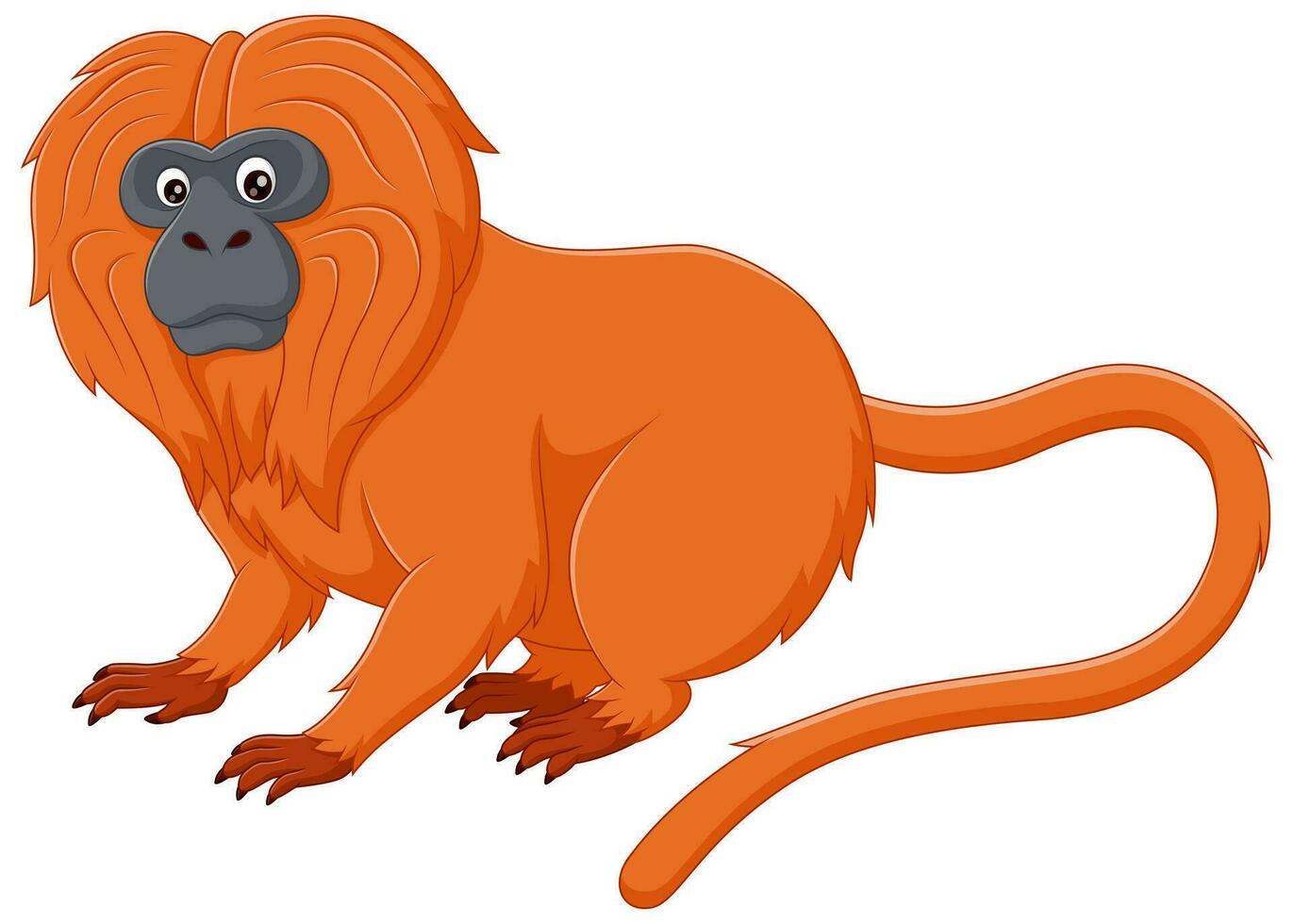 dorado león tamarin dibujos animados aislado en blanco antecedentes. vector ilustración