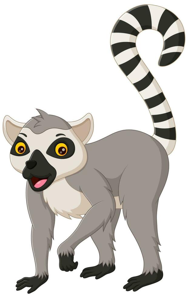 Cute lemur cartoon isolated on white background. Vector illustration