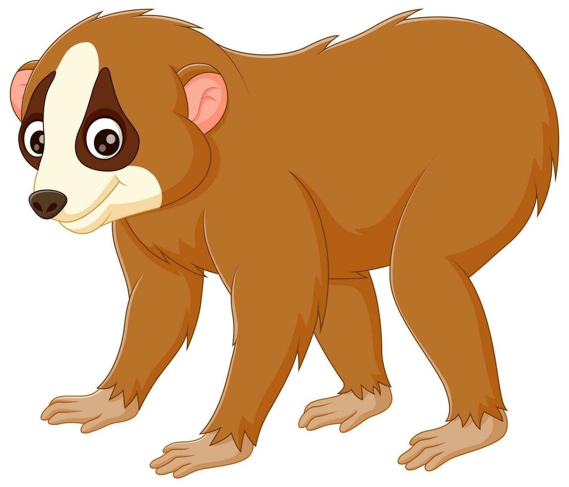 Cute slow loris cartoon isolated on white background. Vector illustration