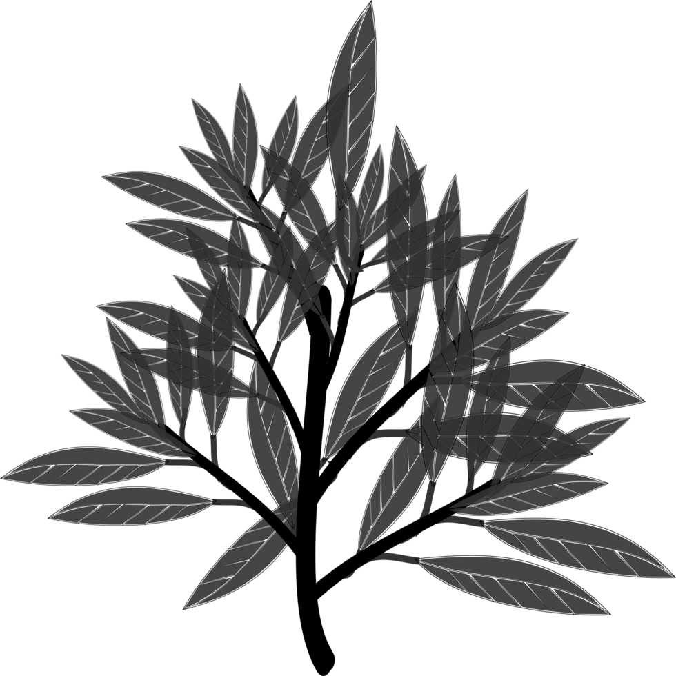 plant tree silhouette, tree sketch clipart png