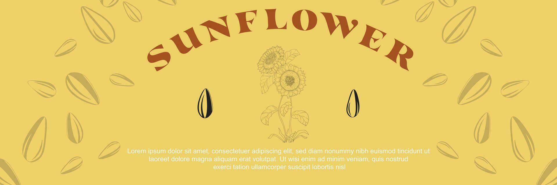 Sunflower oil vintage vector templates of business banners. hand-drawn sunflower, sunflower seed pattern, and text space on a yellow background. Production of sunflower concept in engraving style