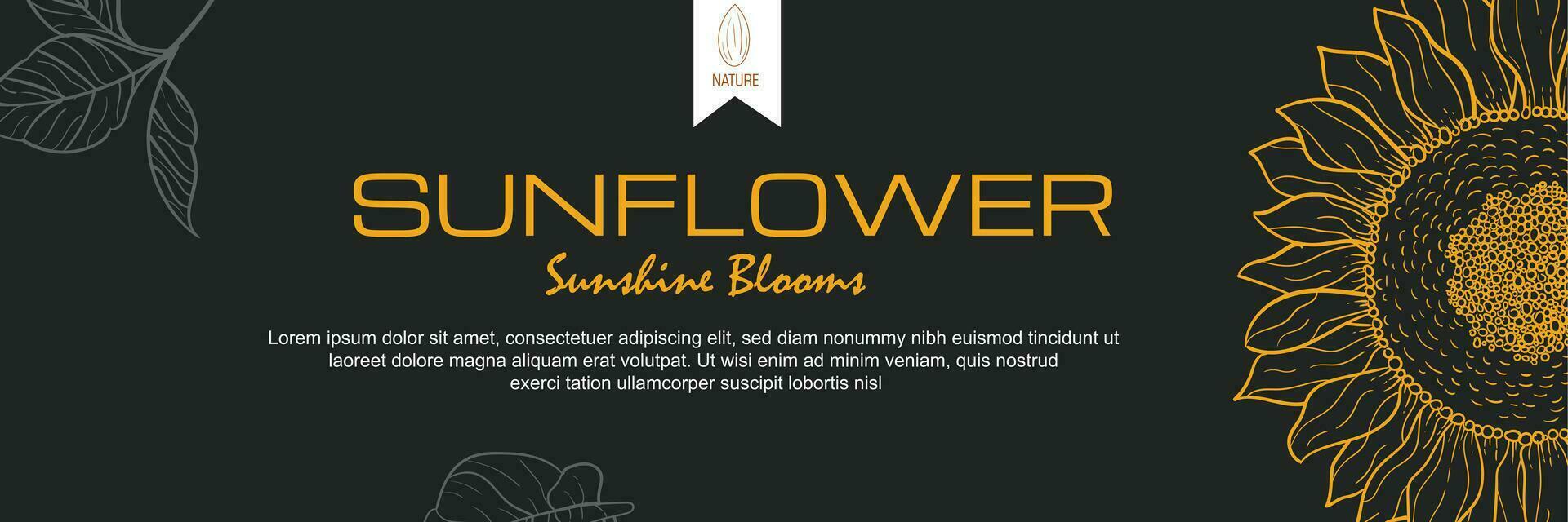 Sunflower oil vector templates of business banners. hand-drawn sunflower, sunflower seed pattern, and text space on a black luxury background. Production of sunflower concept in engraving style