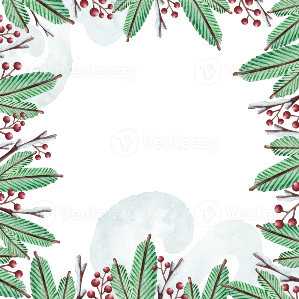 Watercolor background with fir branches, snow-covered branches and berries. png