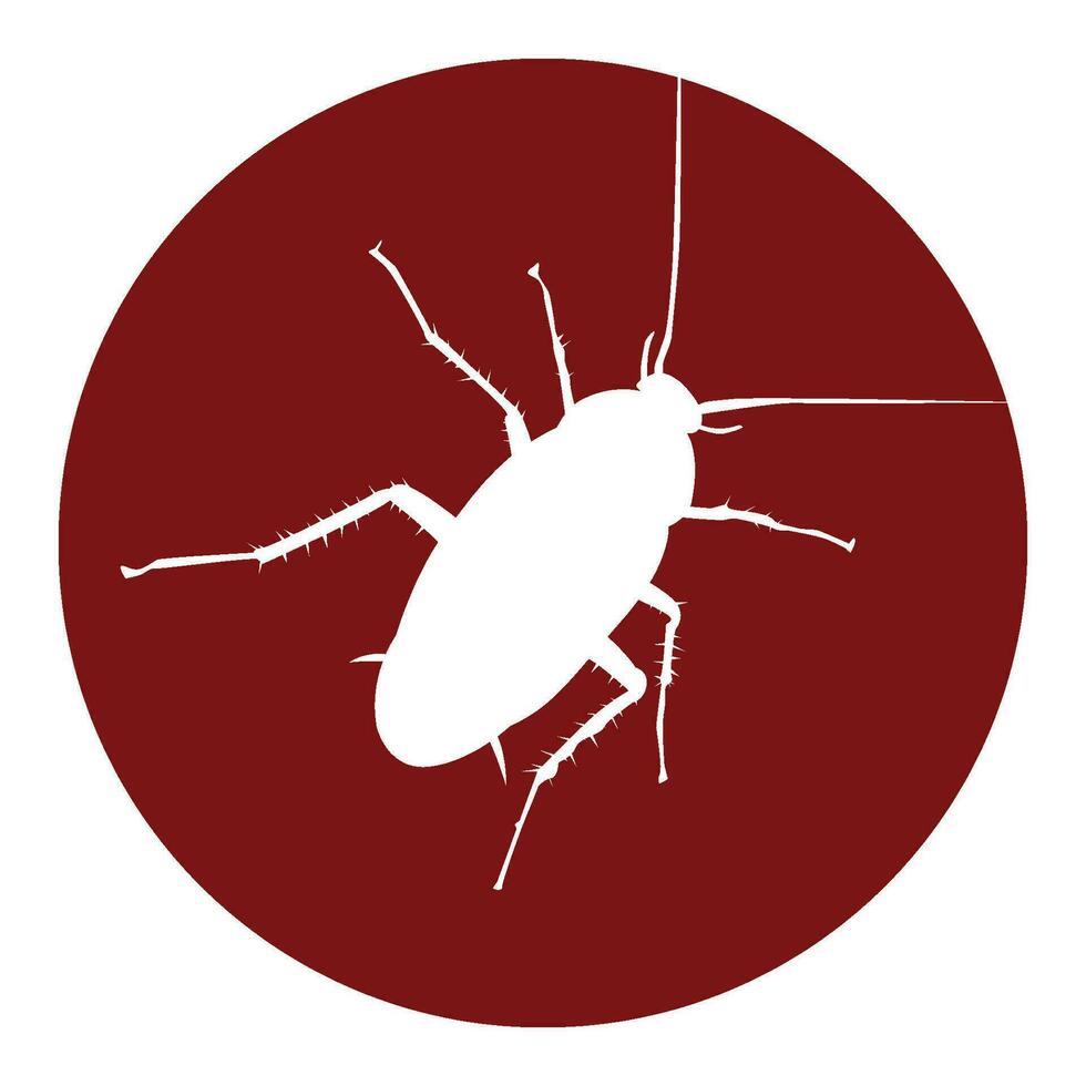 cockroach icon vector