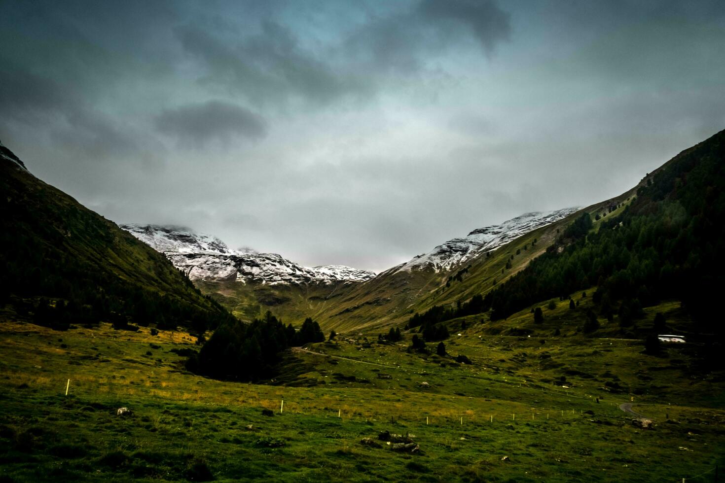 splendid alpine landscapes of Livigno and Valtellina in July 2023, the mountains in summer photo