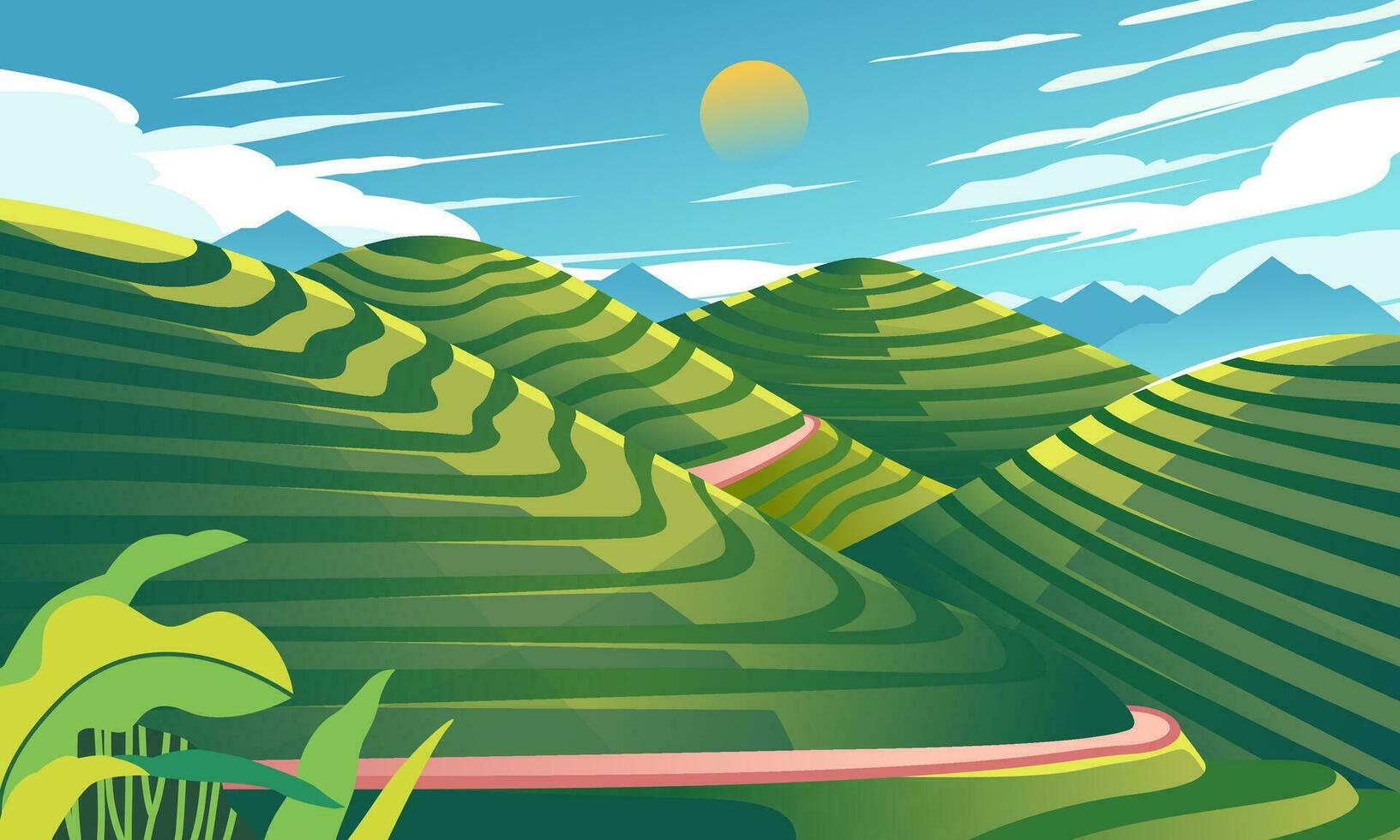 beautiful Ricefield Landscape illustration, valleys up and down and blue skies vector
