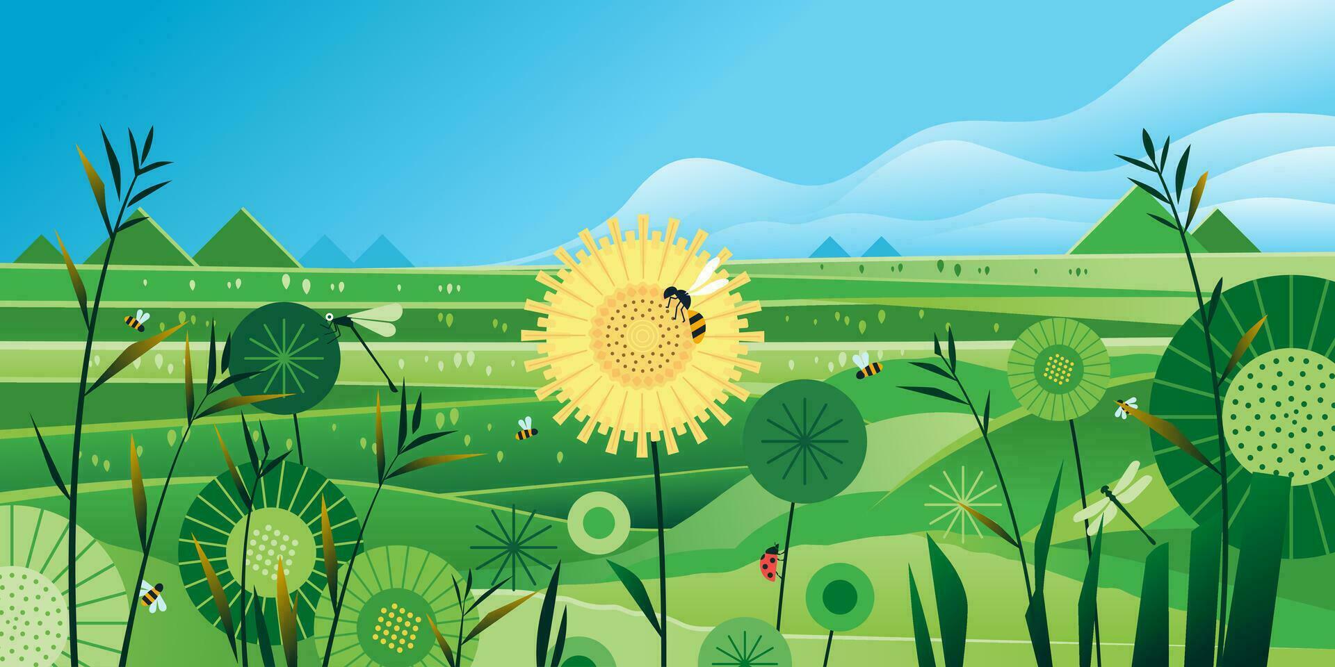 Meadow hills Nature landscape green grass Rural beautiful summer field sunflower and grass in front blue sky vector