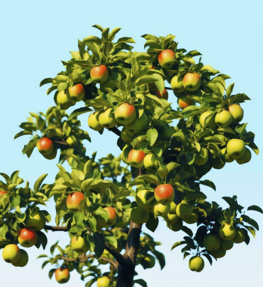 A beautiful green apple tree. AI Generated photo