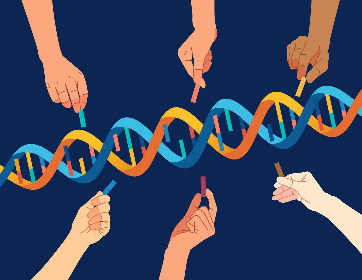Diversity people hand that completes the DNA Helix genetic concept vector illustration