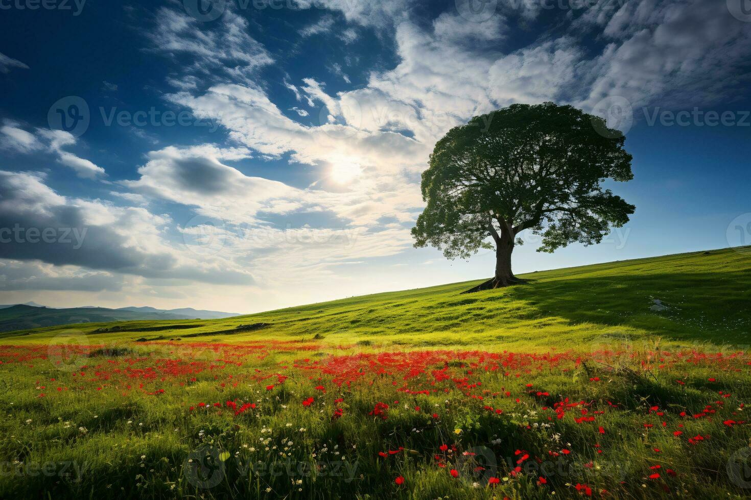 A huge tree with fresh green leaves on a  meadow and blooming flowers field with white clouds on blue sky. photo