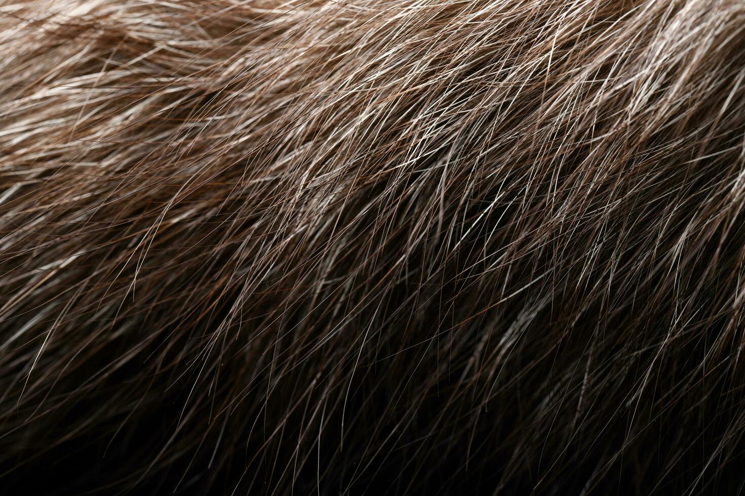 Flax fur background photo