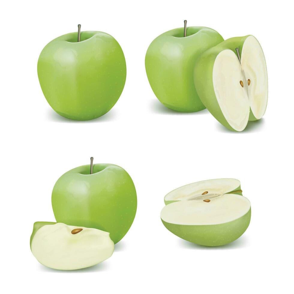 realista detallado 3d todo y rebanada de verde manzana colocar. vector