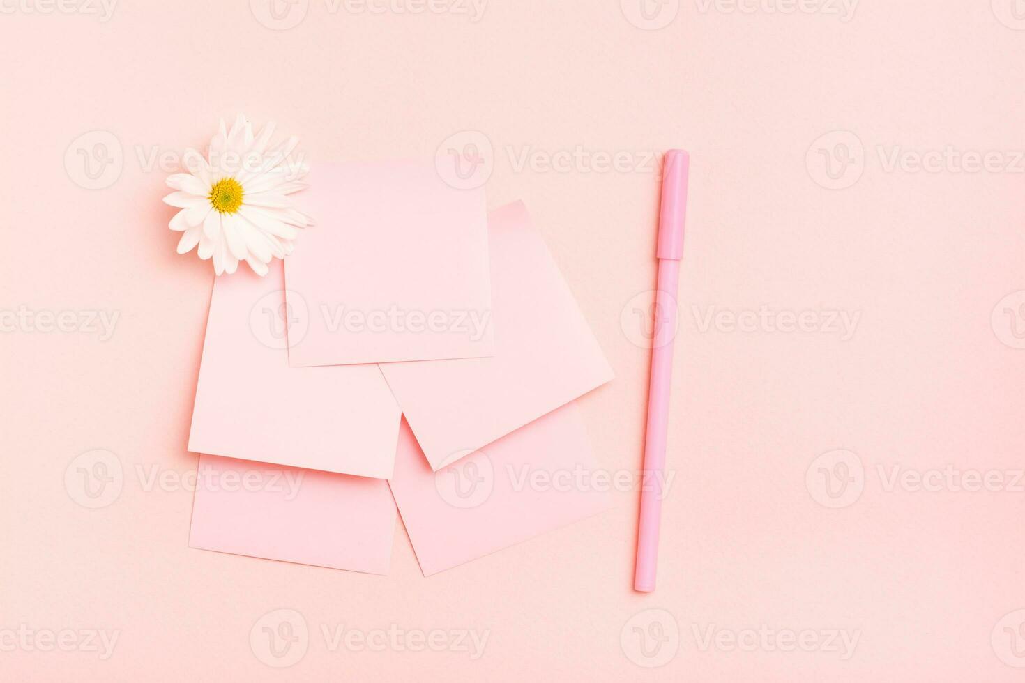 The concept is pink. Blank square small writing sheets, chrysanthemum and a pen on a pink background. Top view photo