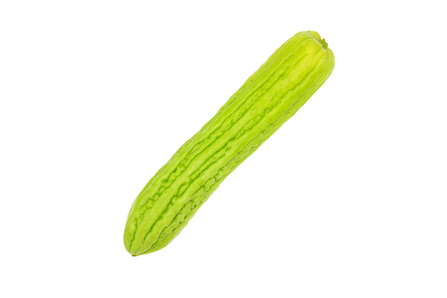 bitter Melone isoliert auf transparent Hintergrund. frisch Gemüse und Ernte oder Produkt von Ernte. png Transparenz